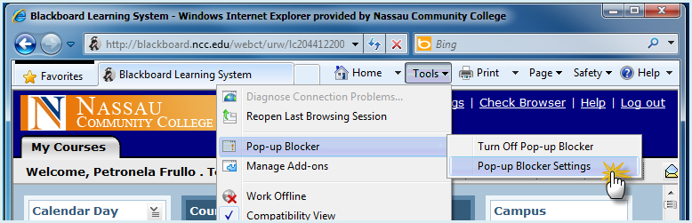 Image of IE Tool menu Pop-up Blocker Settings