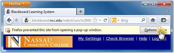 Firefox prevented this site from opening a pop-up