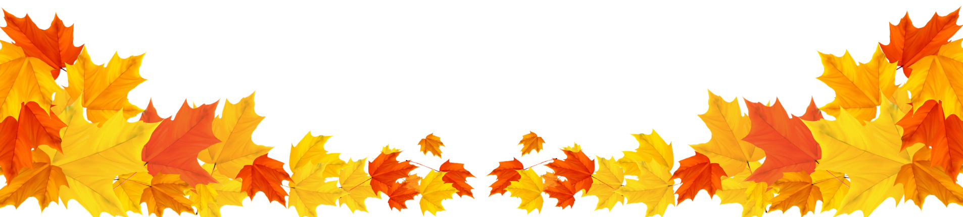 Decorative: fall leaves