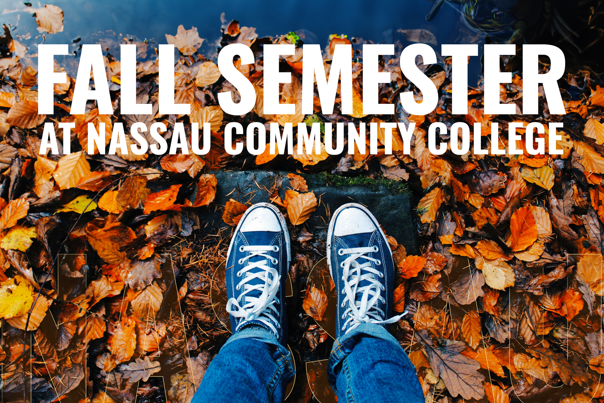 Fall Semester at Nassau Community College