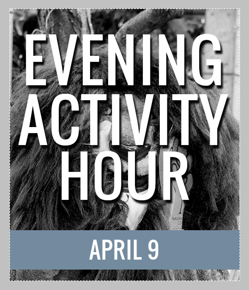 Evening Activity Hour Image