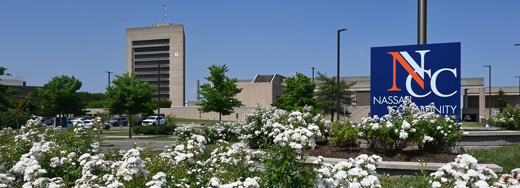 NCC Campus During The Summer