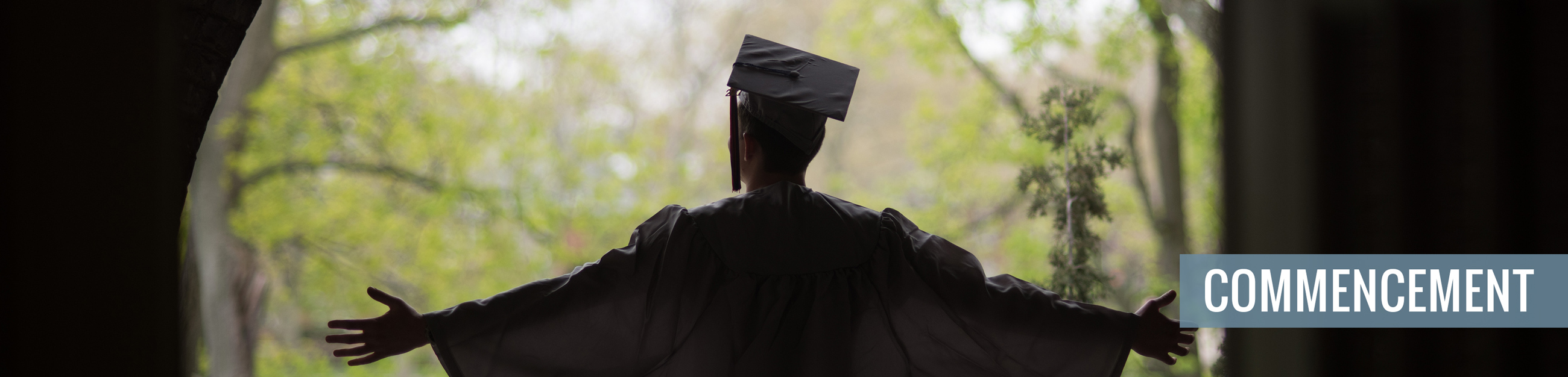 Graduation Hero Image
