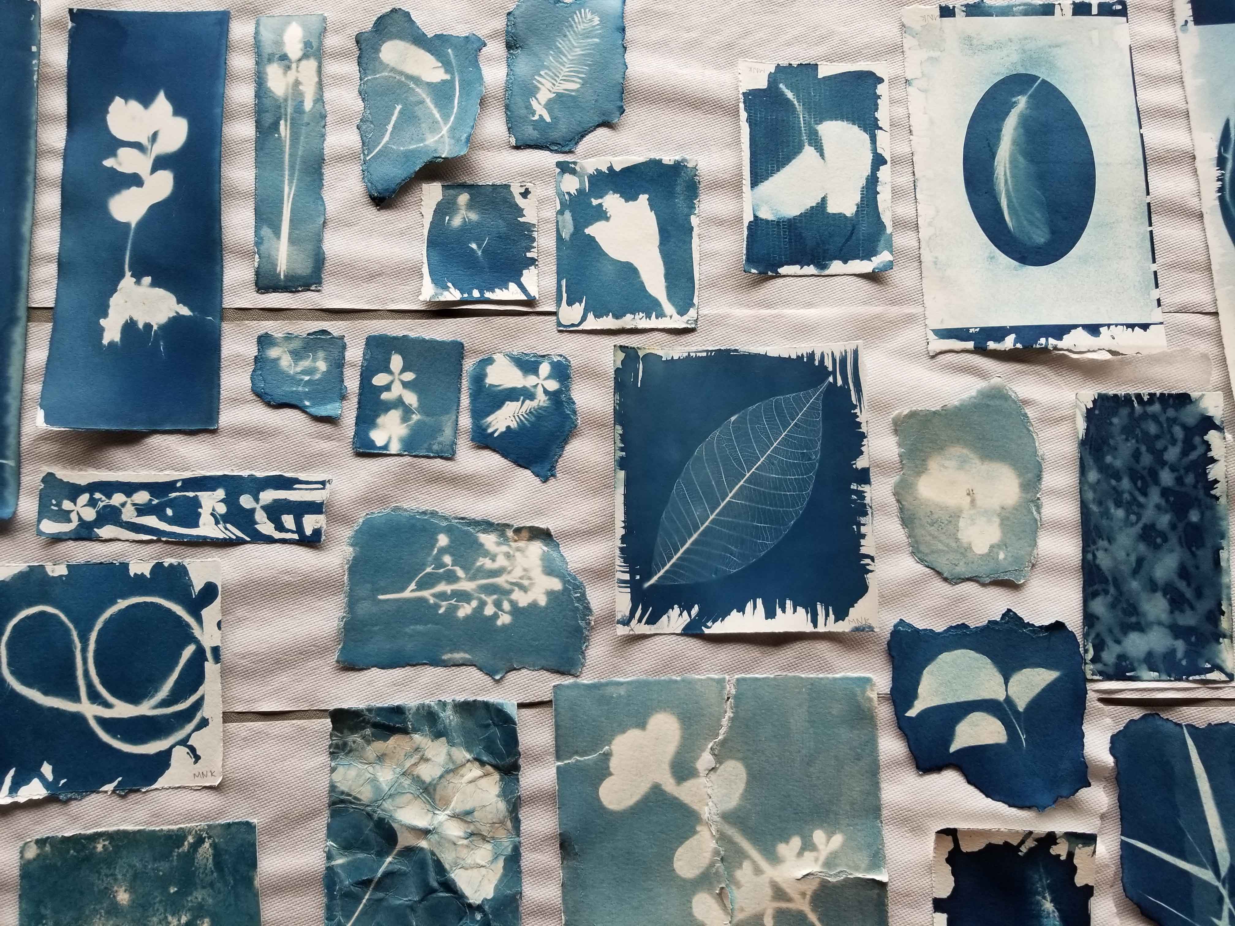 Cyanotype Prints