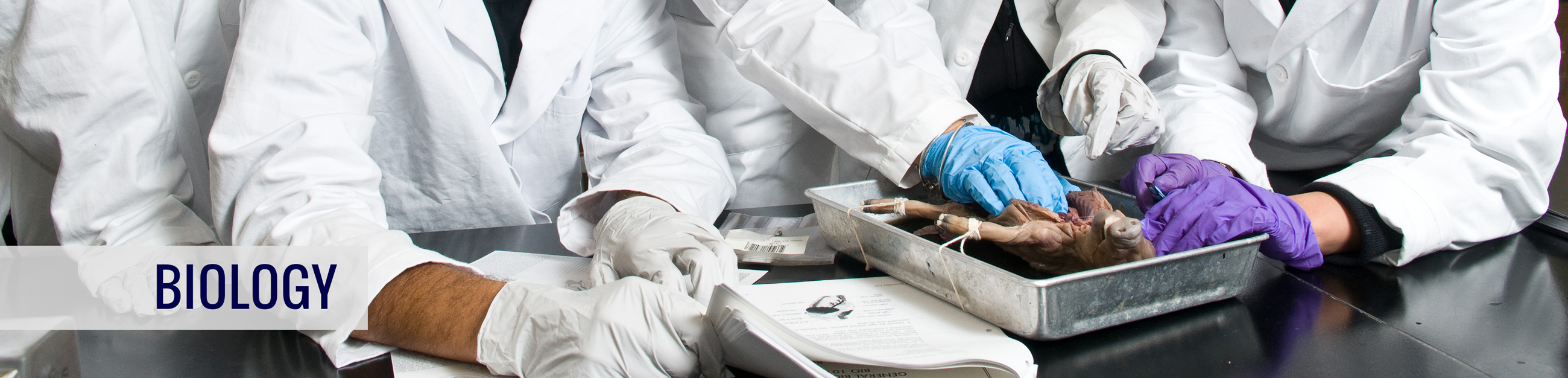 ncc shoes price online