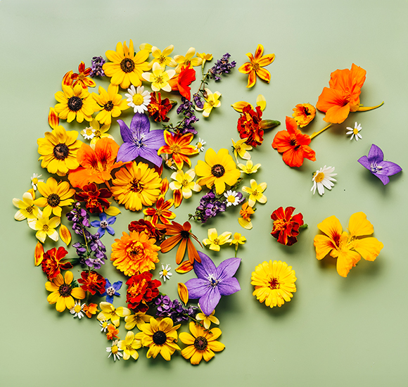 Human Face Depicted By Flowers