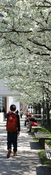 Student Walking in the Spring